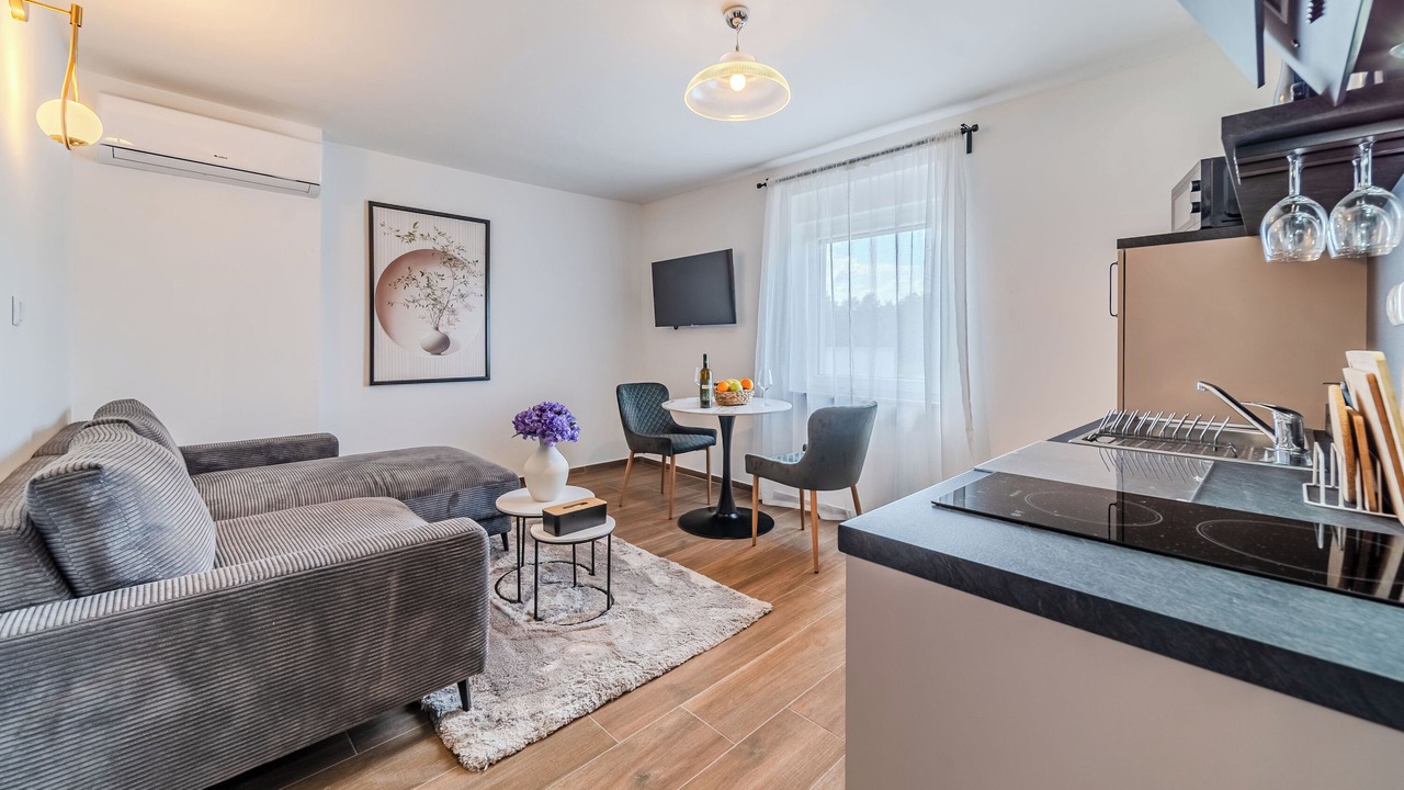 Photo of Livingroom in Irinovac