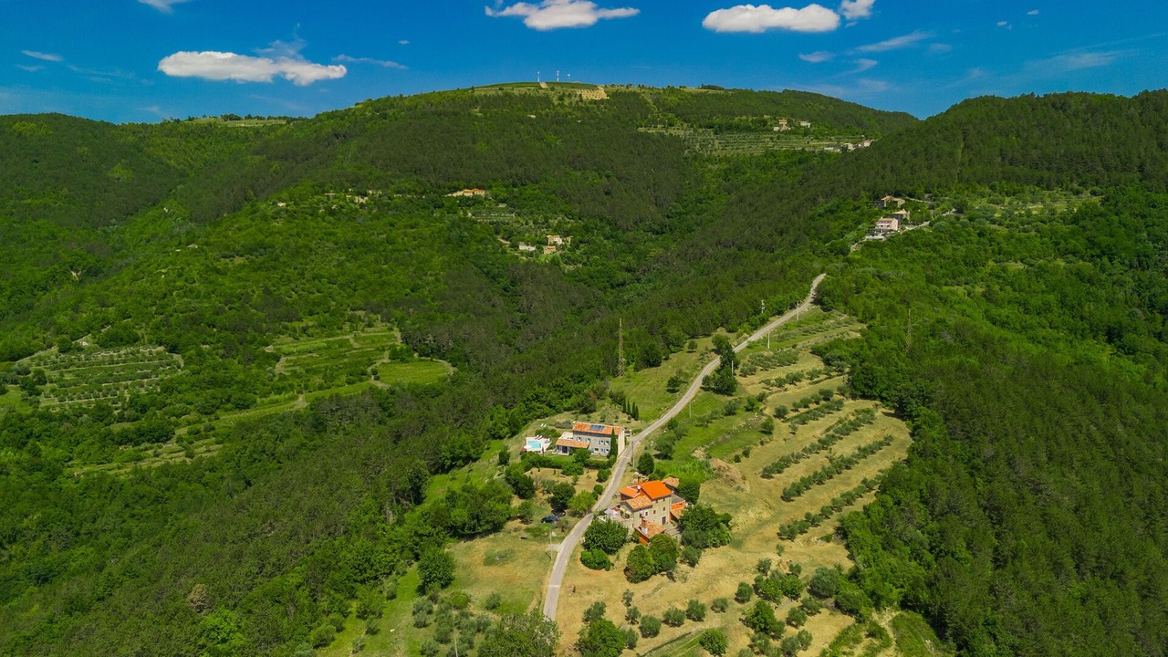 Photo of Outdoor in Golubici