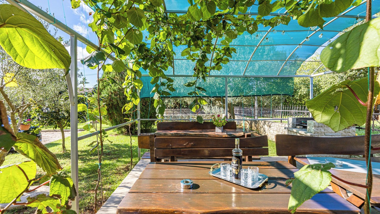 Photo of Outdoor in Matohanci