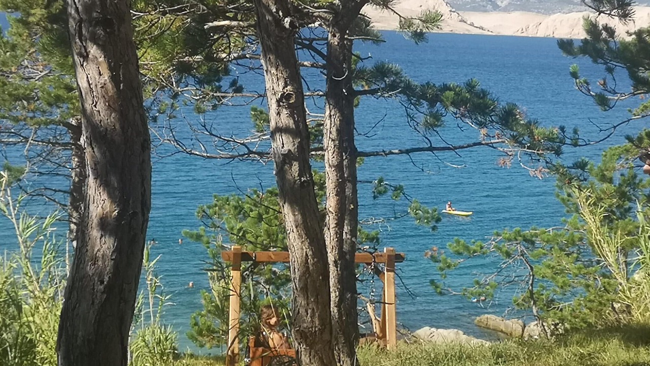 Photo of Others in Bosana