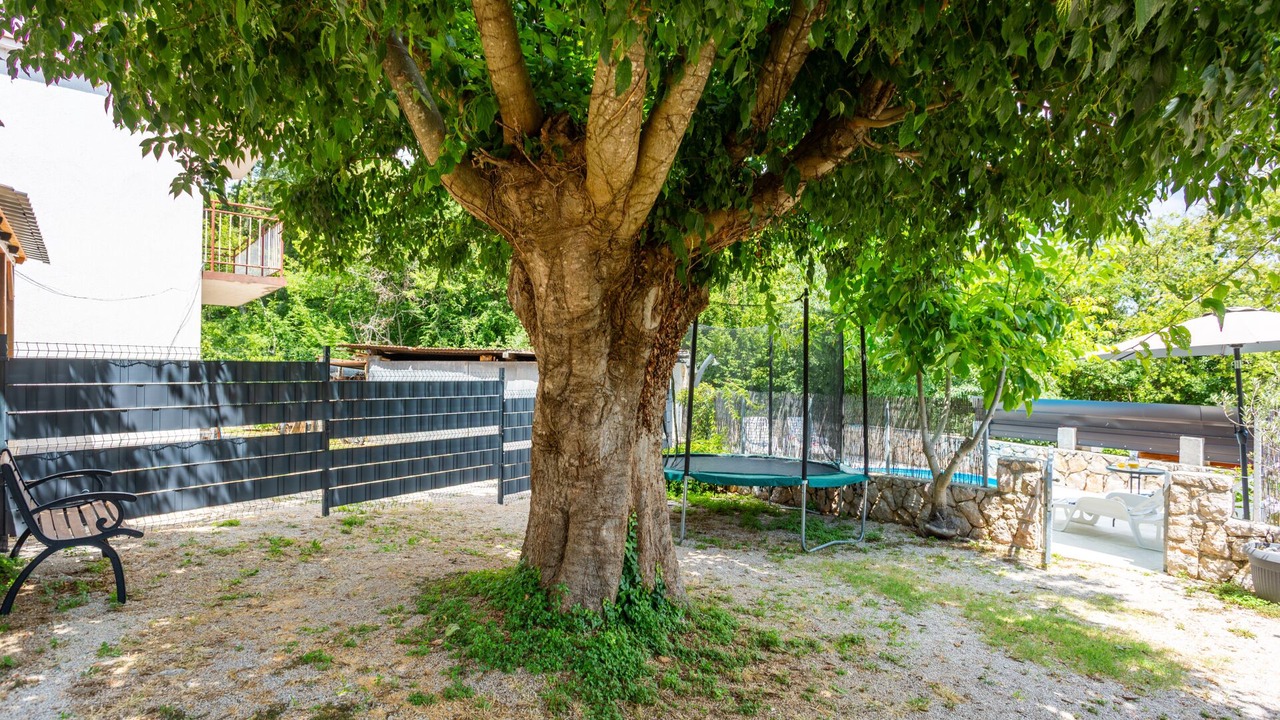 Photo of Outdoor in Risika