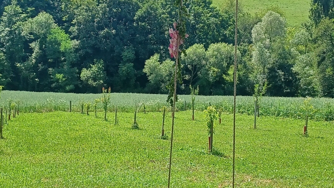 Photo of Outdoor in Sunja