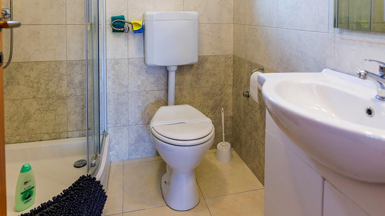 Photo of Bathroom in Soline