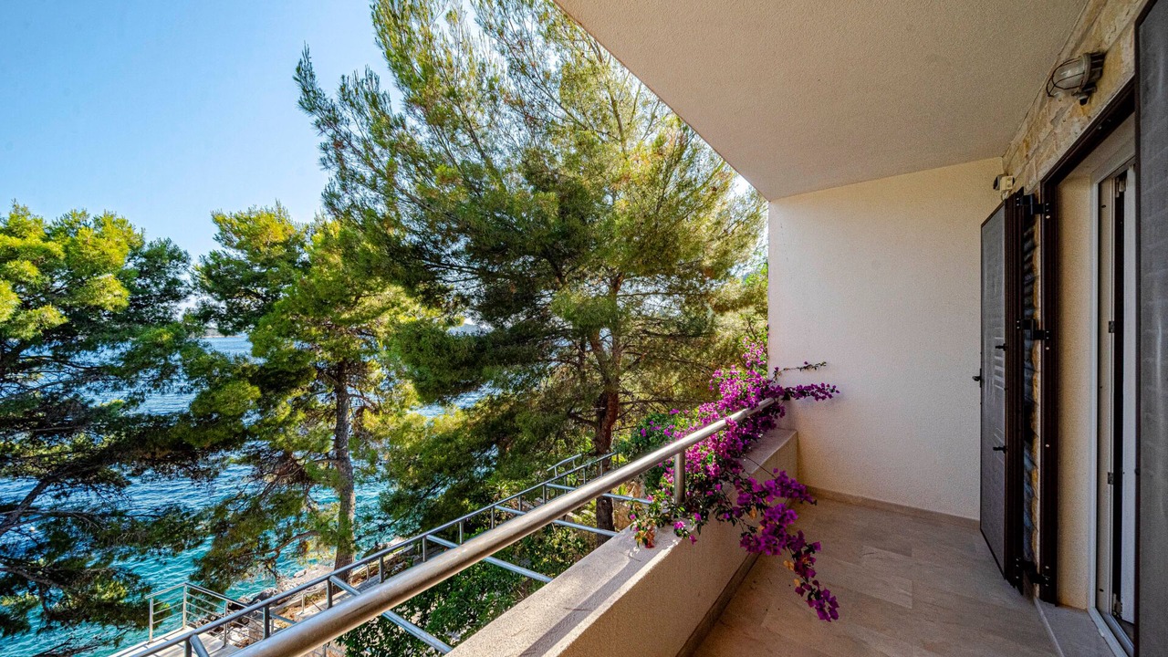 Photo of Outdoor in Prizba