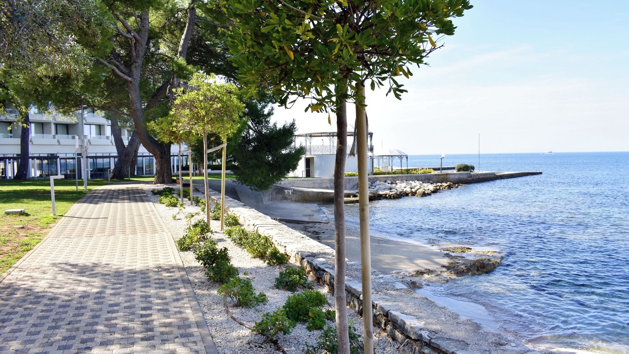 Photo of Outdoor in Murine