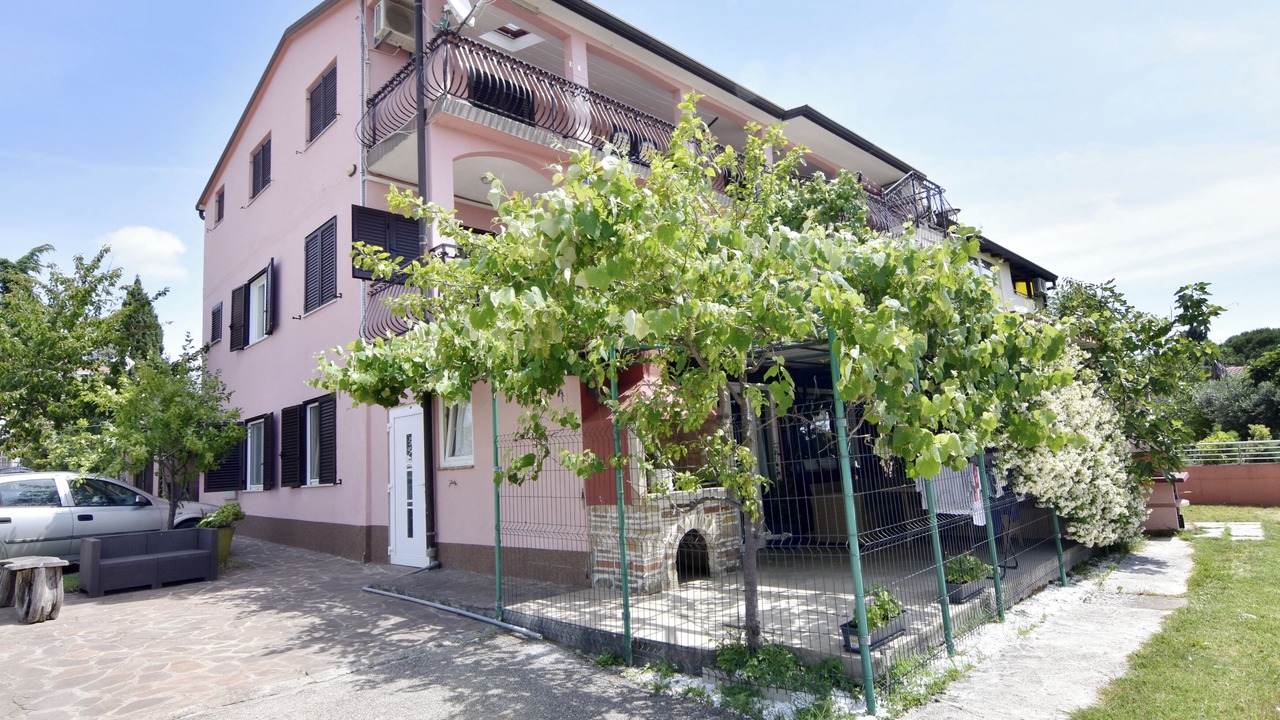 Photo of Outdoor in Murine