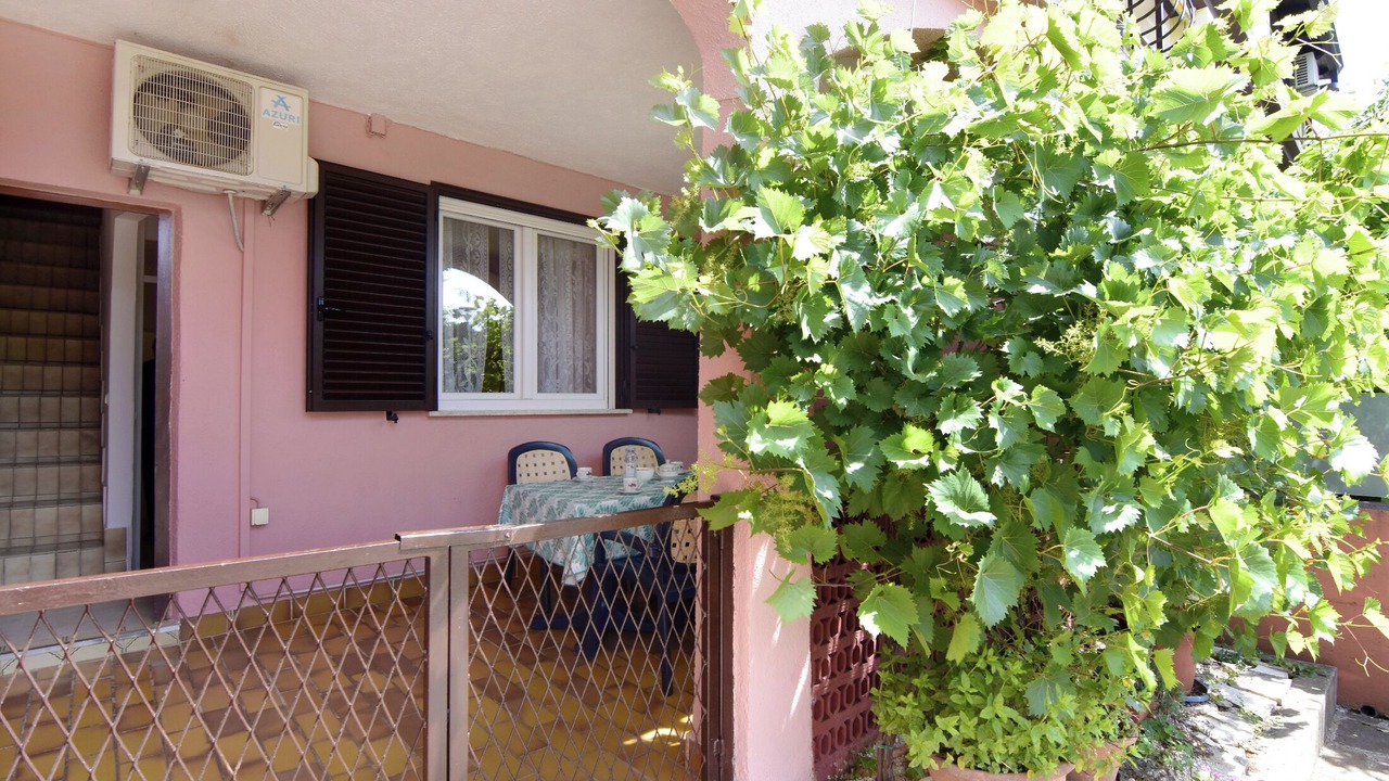 Photo of Outdoor in Murine