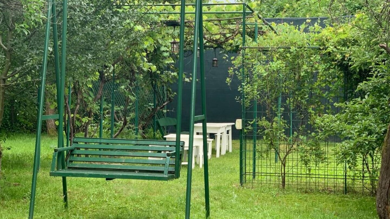 Photo of Outdoor in Arpasu de Sus