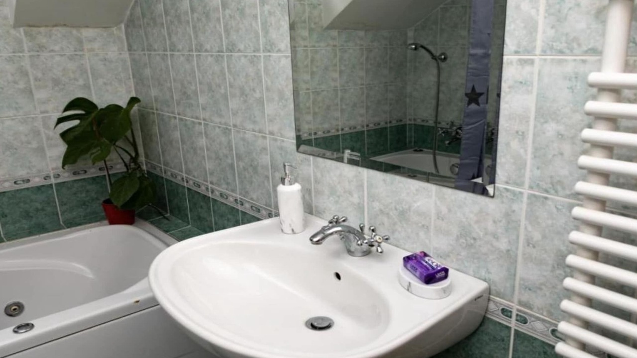 Photo of Bathroom in Svajcarnica
