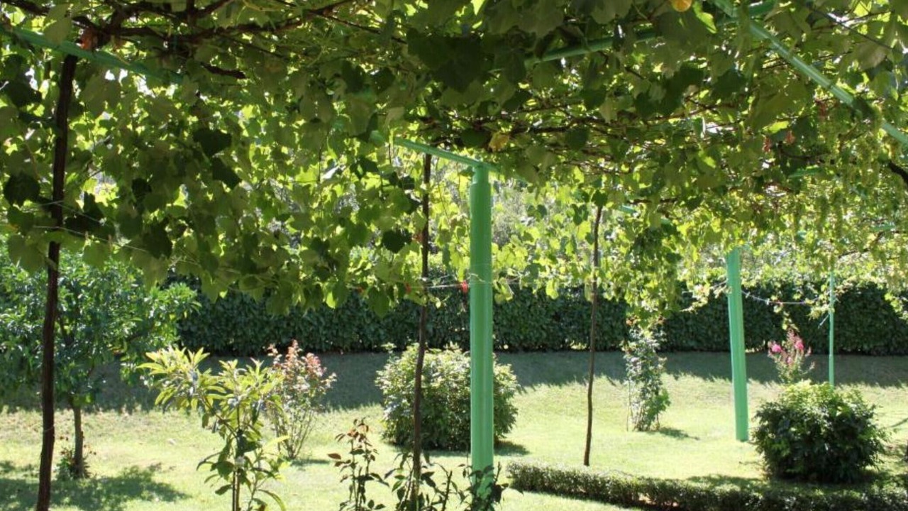 Photo of Outdoor in Medjugorje