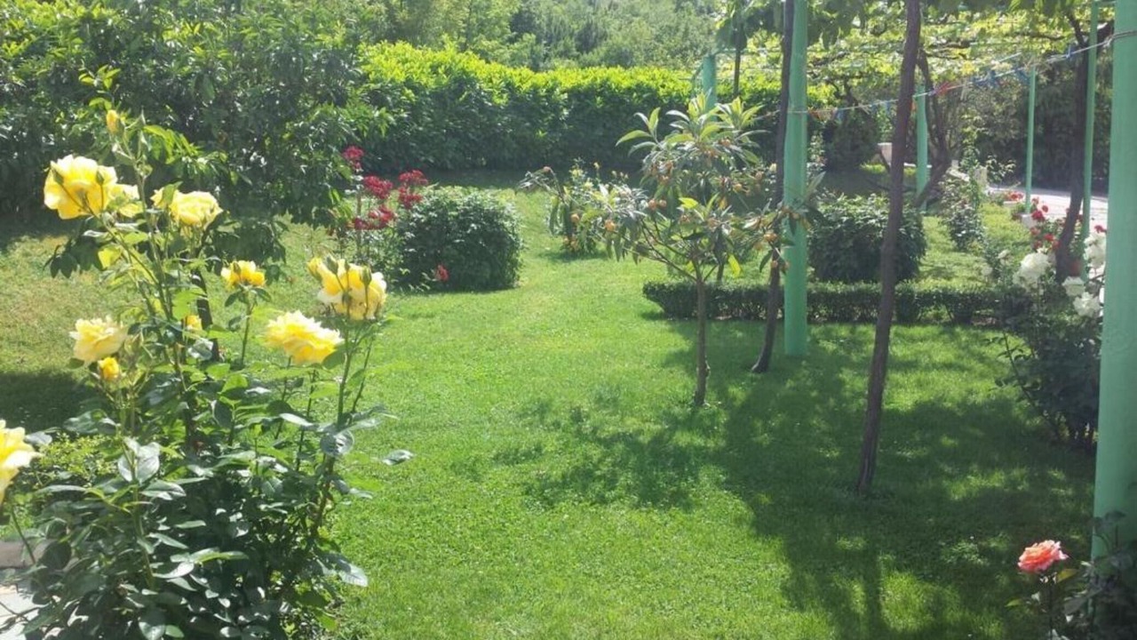 Photo of Outdoor in Medjugorje