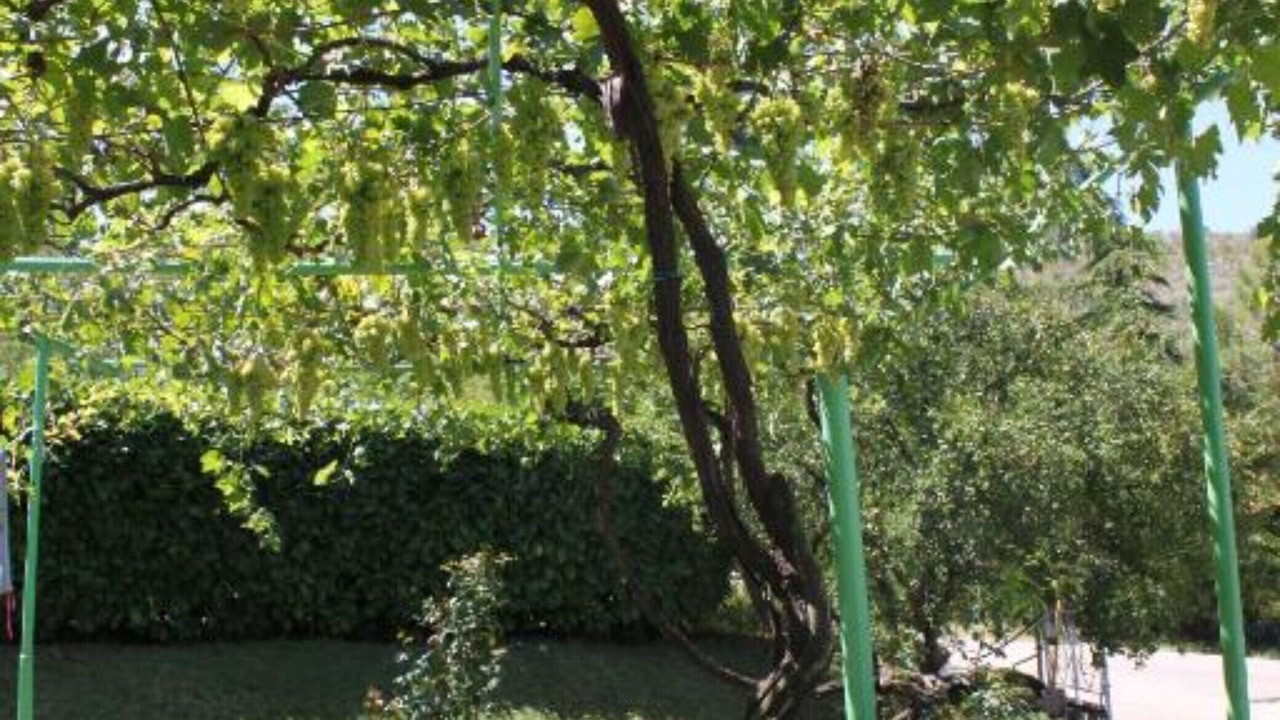Photo of Outdoor in Medjugorje