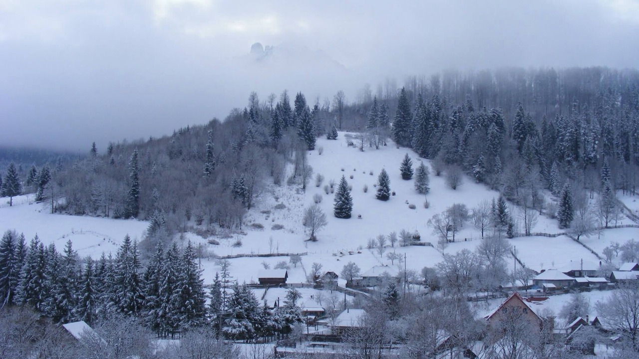 Photo of Outdoor in Ceahlau