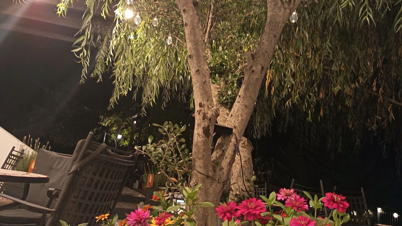 Photo of Patio Balcony in Seliste