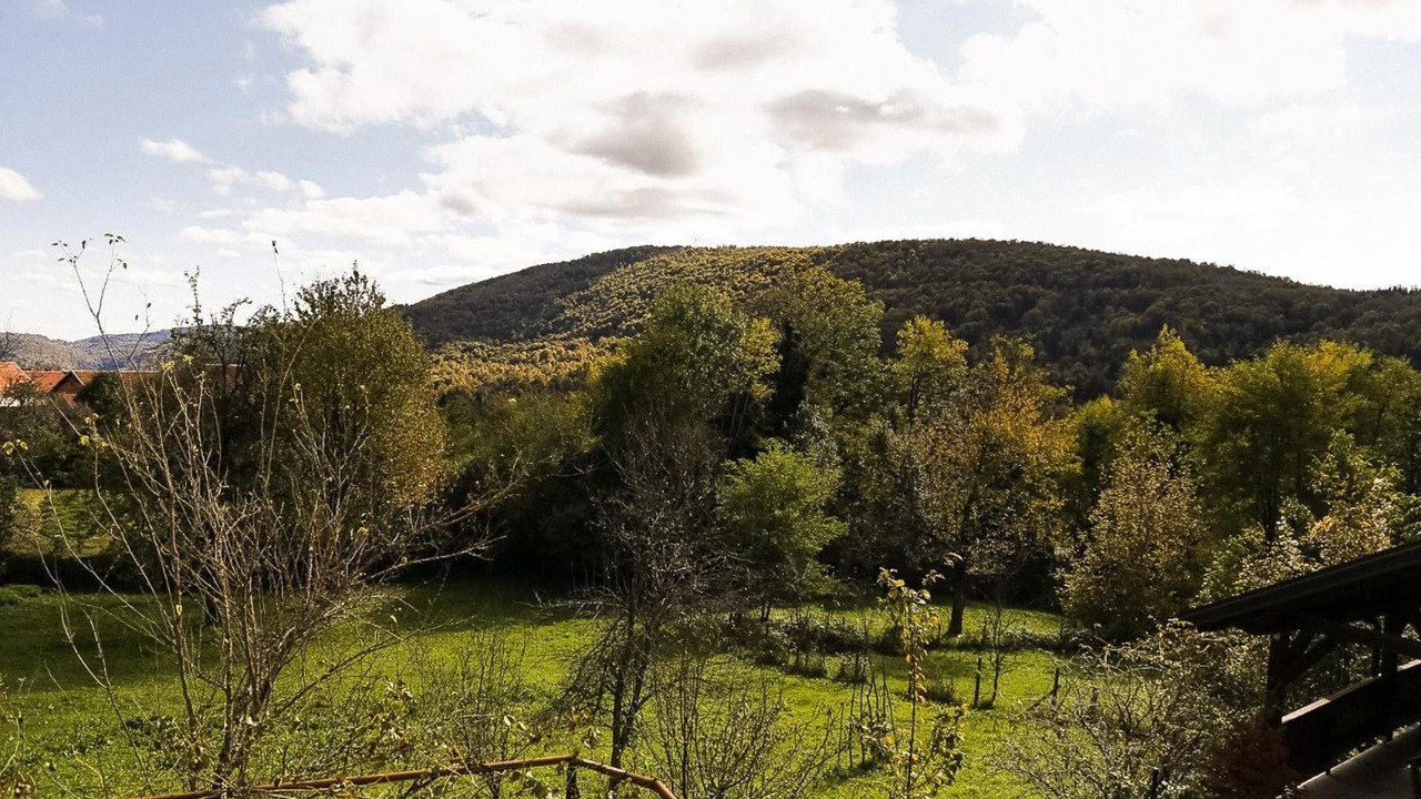 Photo of Outdoor in Lukovdol