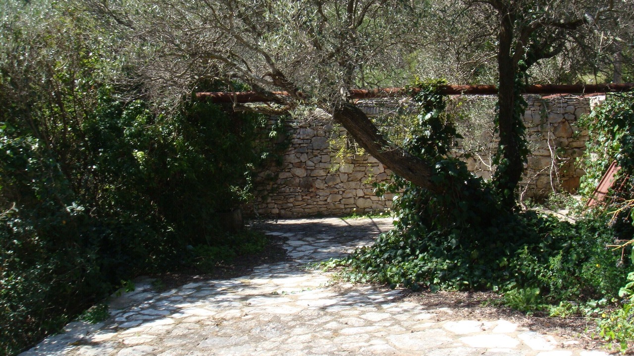 Photo of Outdoor in Vela Luka