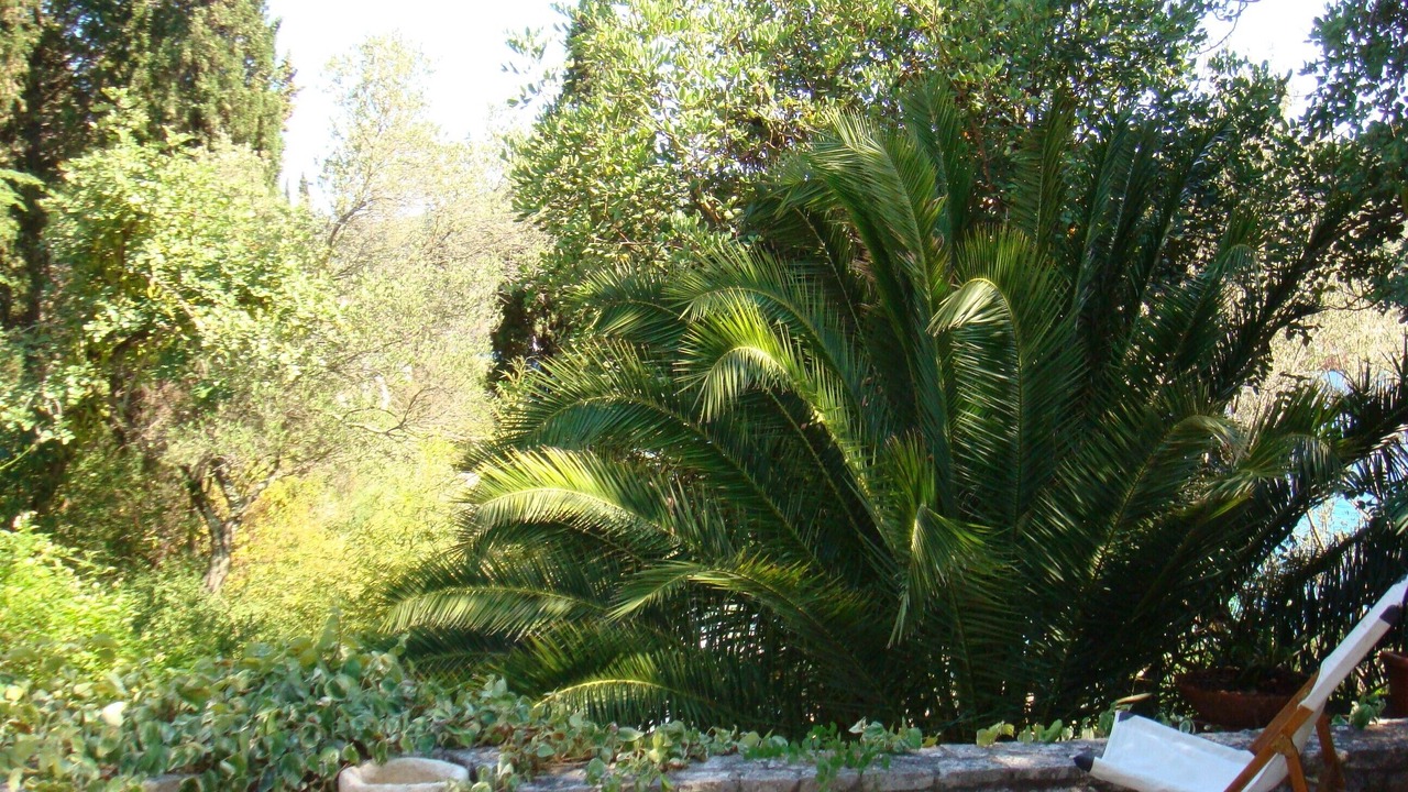 Photo of Outdoor in Vela Luka