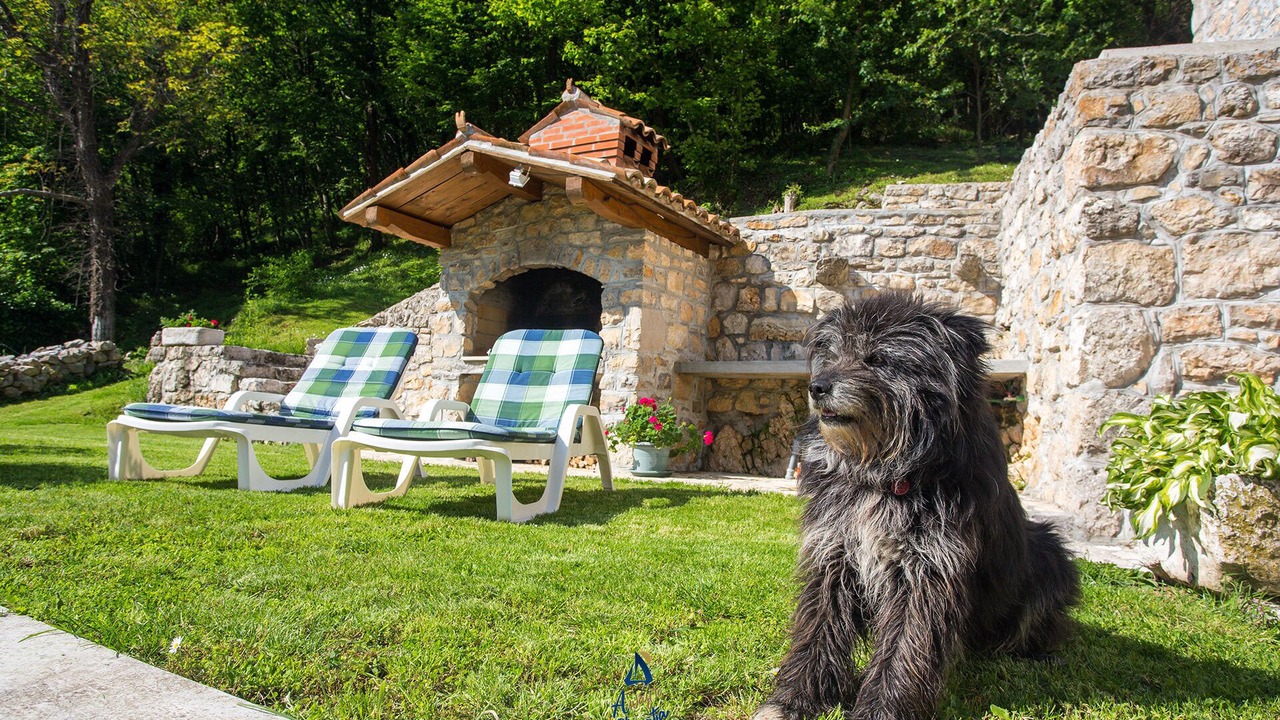 Photo of Outdoor in Lovran