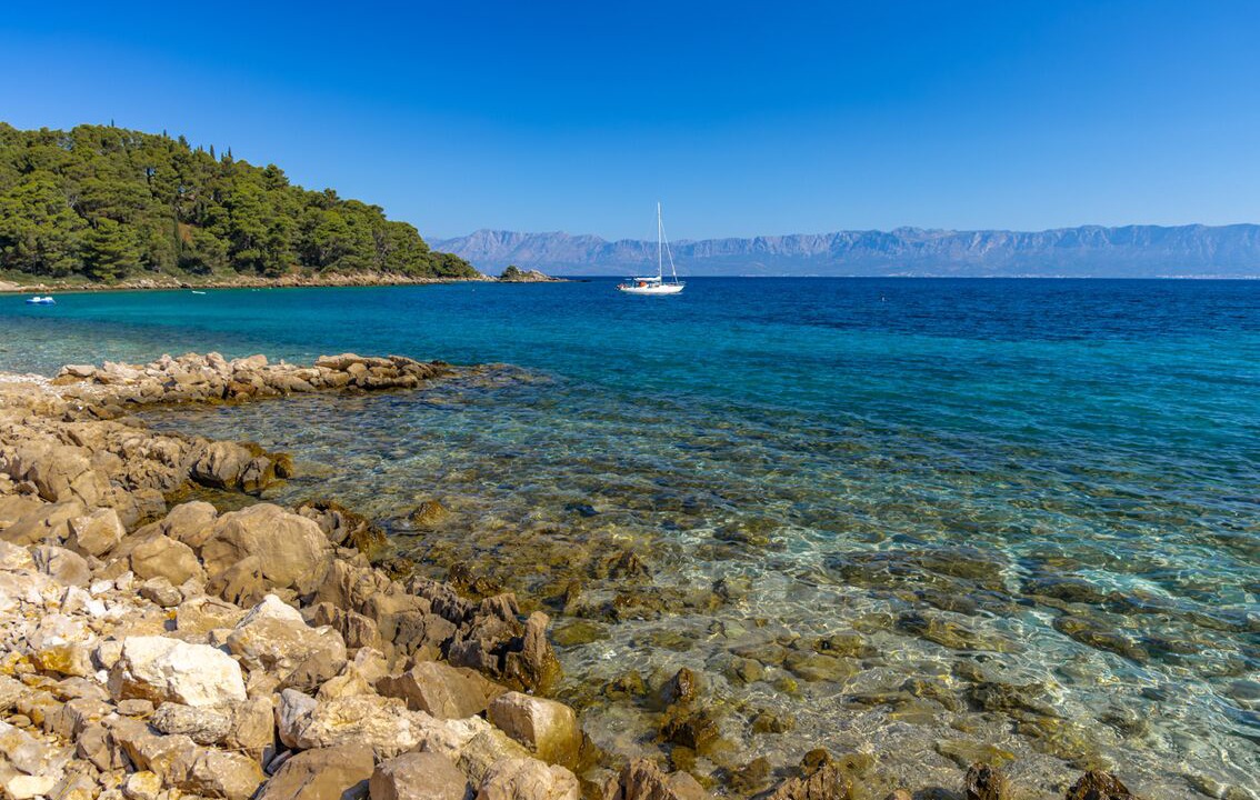Photo of Others in Trget