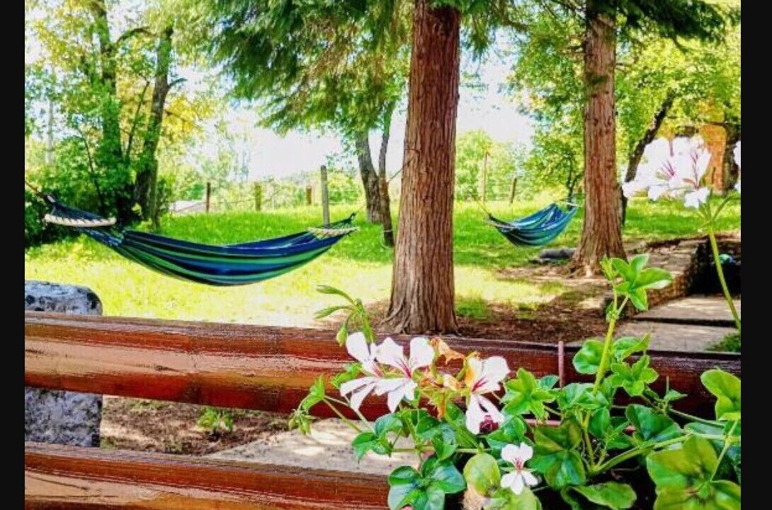 Photo of Outdoor in Grabovac