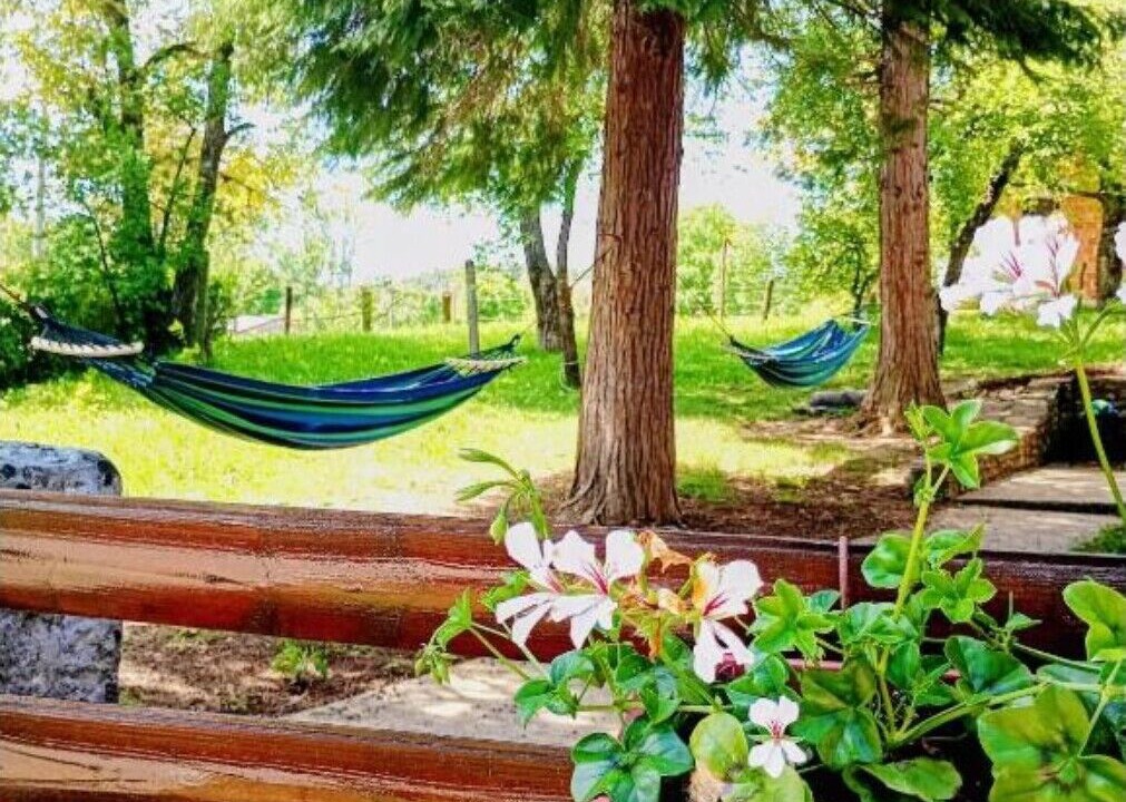 Photo of Outdoor in Grabovac