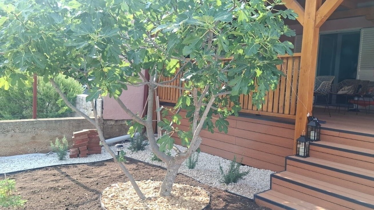 Photo of Outdoor in Mirce