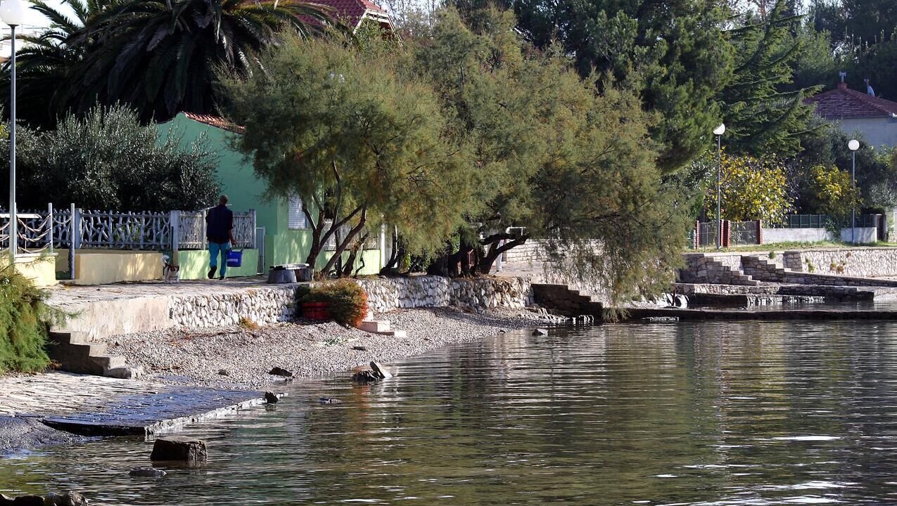 Photo of Others in Gornji Zemunik