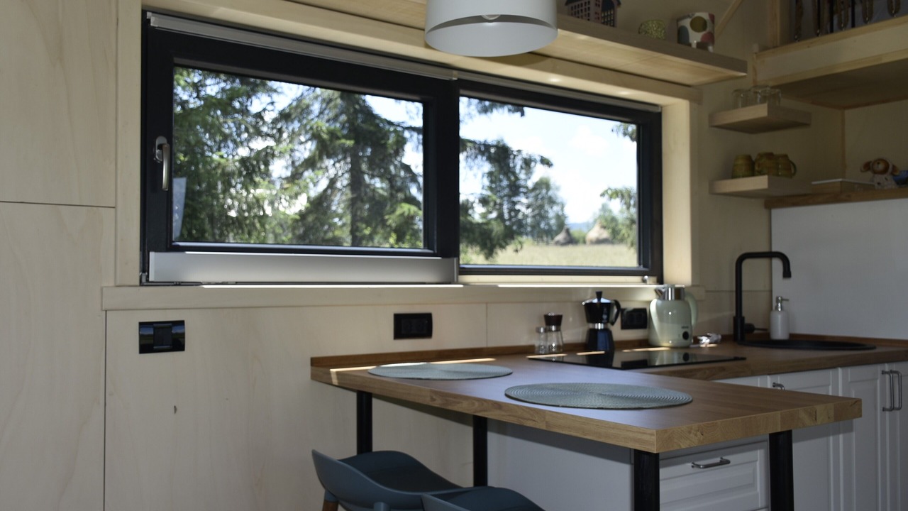 Photo of Kitchen in Sarisor