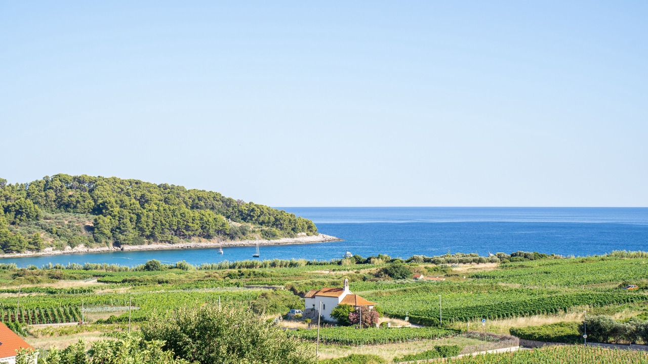 Photo of Others in Vela Glavica