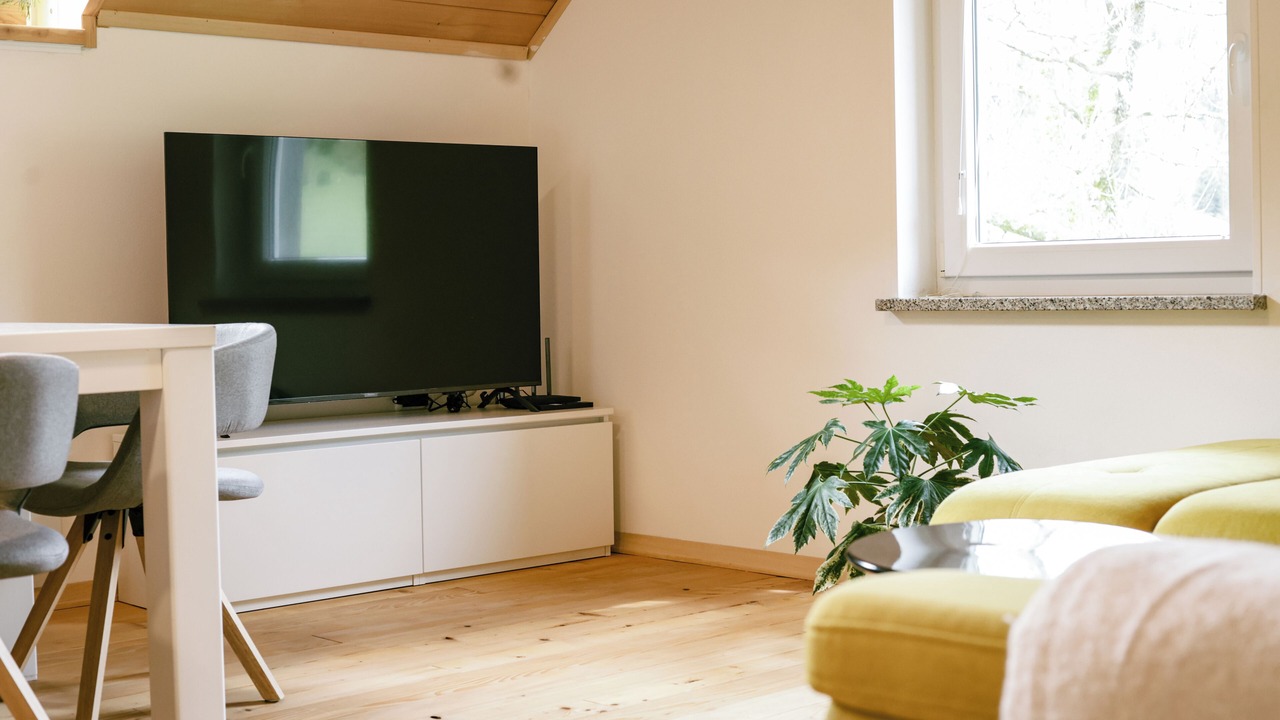 Photo of Livingroom in Idrija