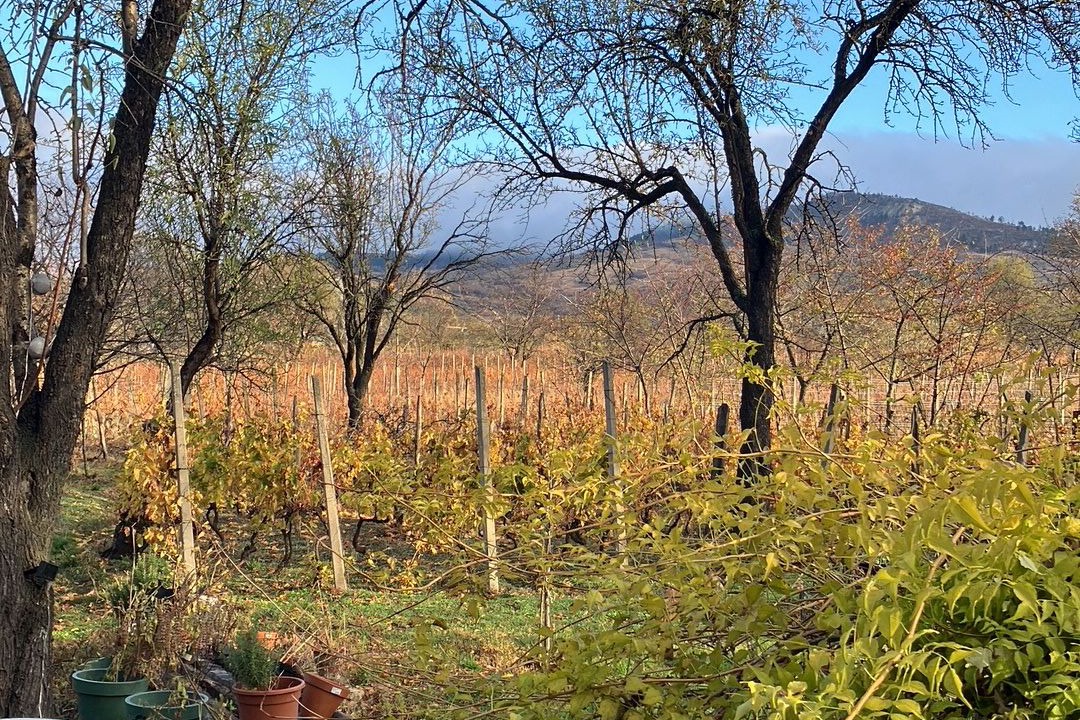 Photo of Outdoor in Breaza