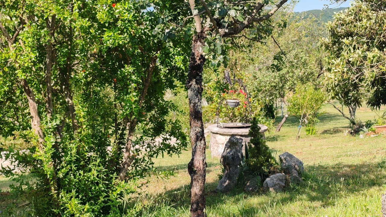 Photo of Others in Buzet
