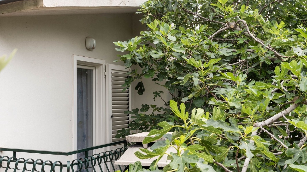 Photo of Patio Balcony in Marusici