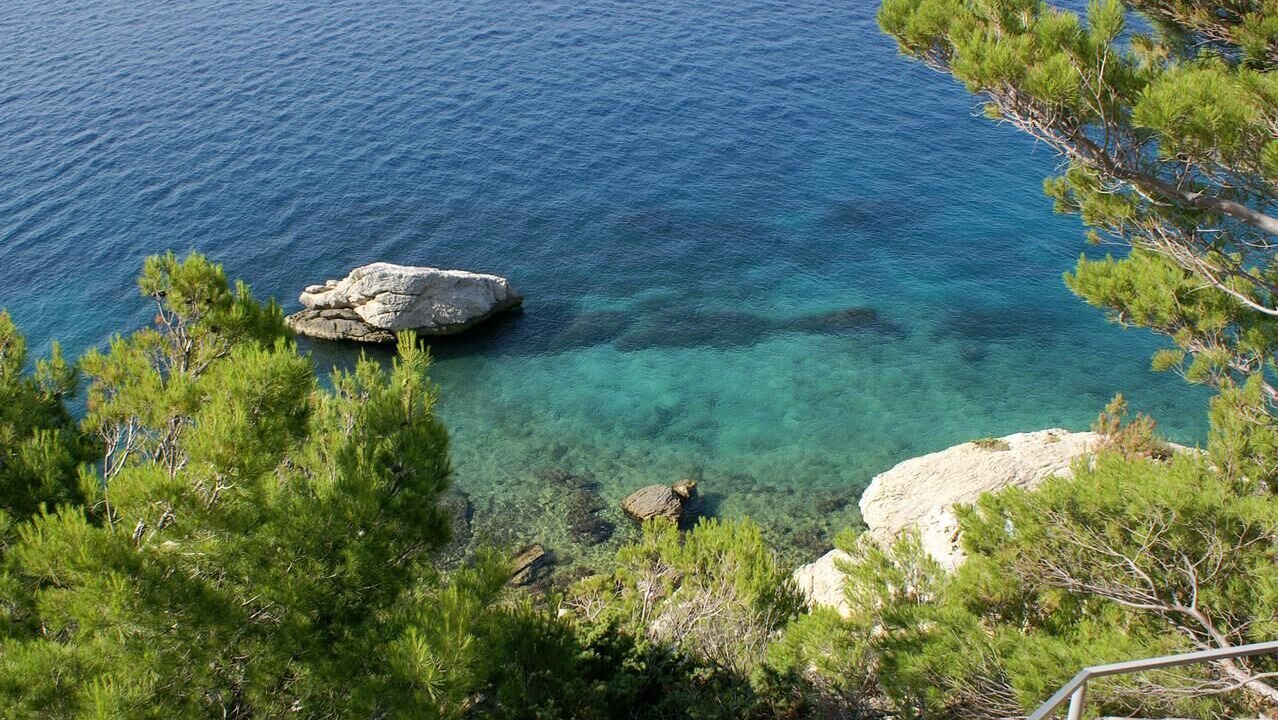 Photo of Others in Marusici