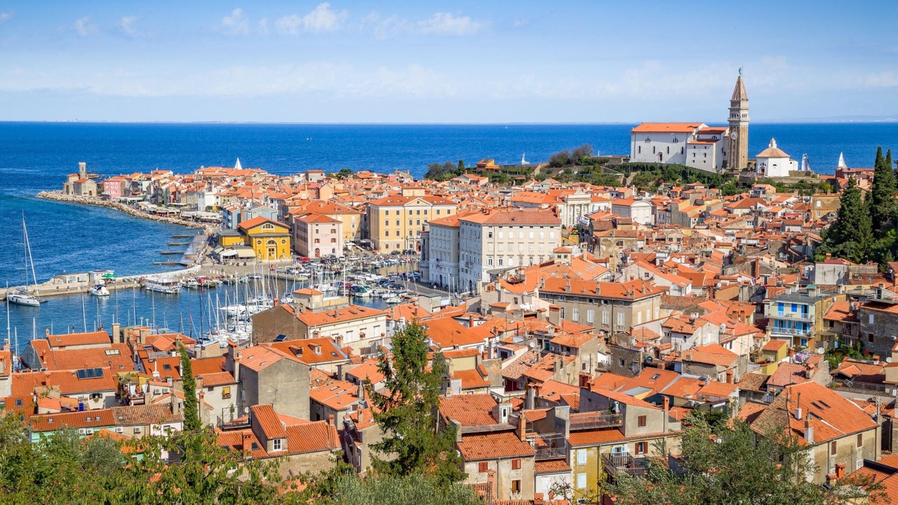 Photo of Others in Koper