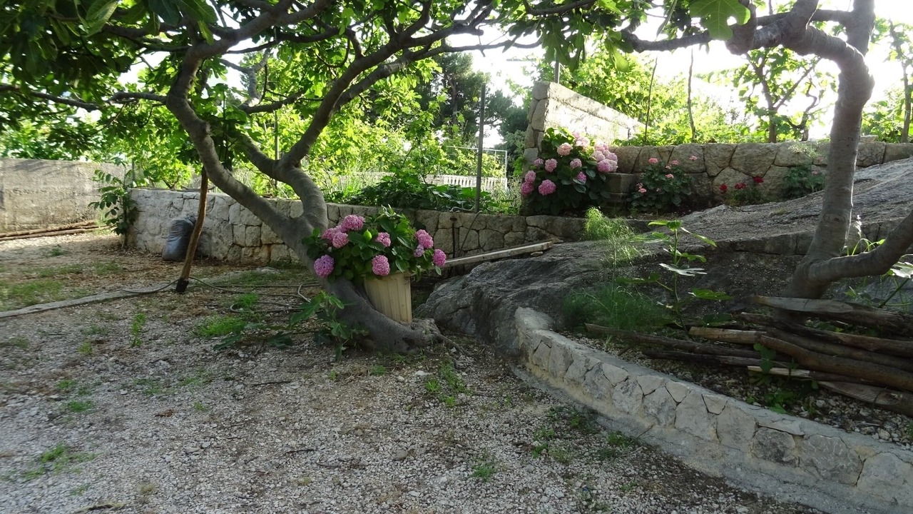 Photo of Outdoor in Blato