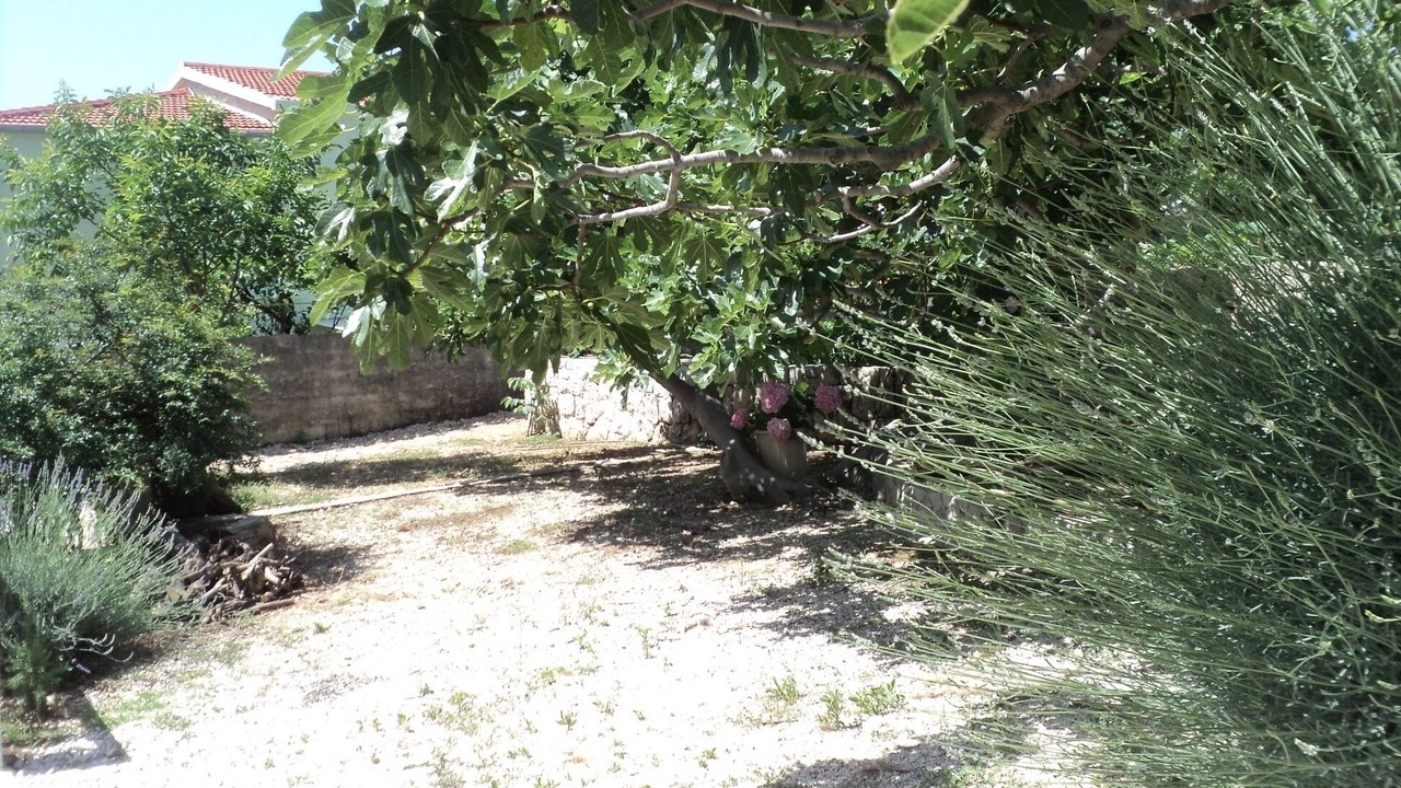 Photo of Others in Blato
