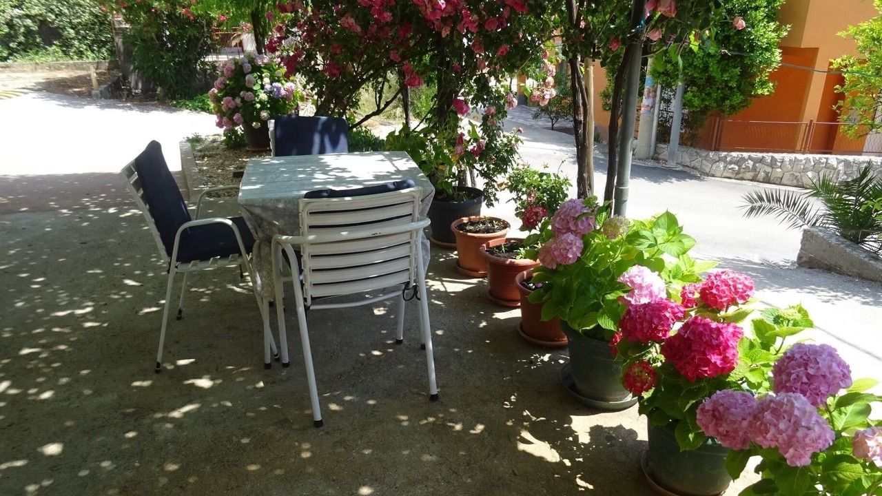 Photo of Others in Blato