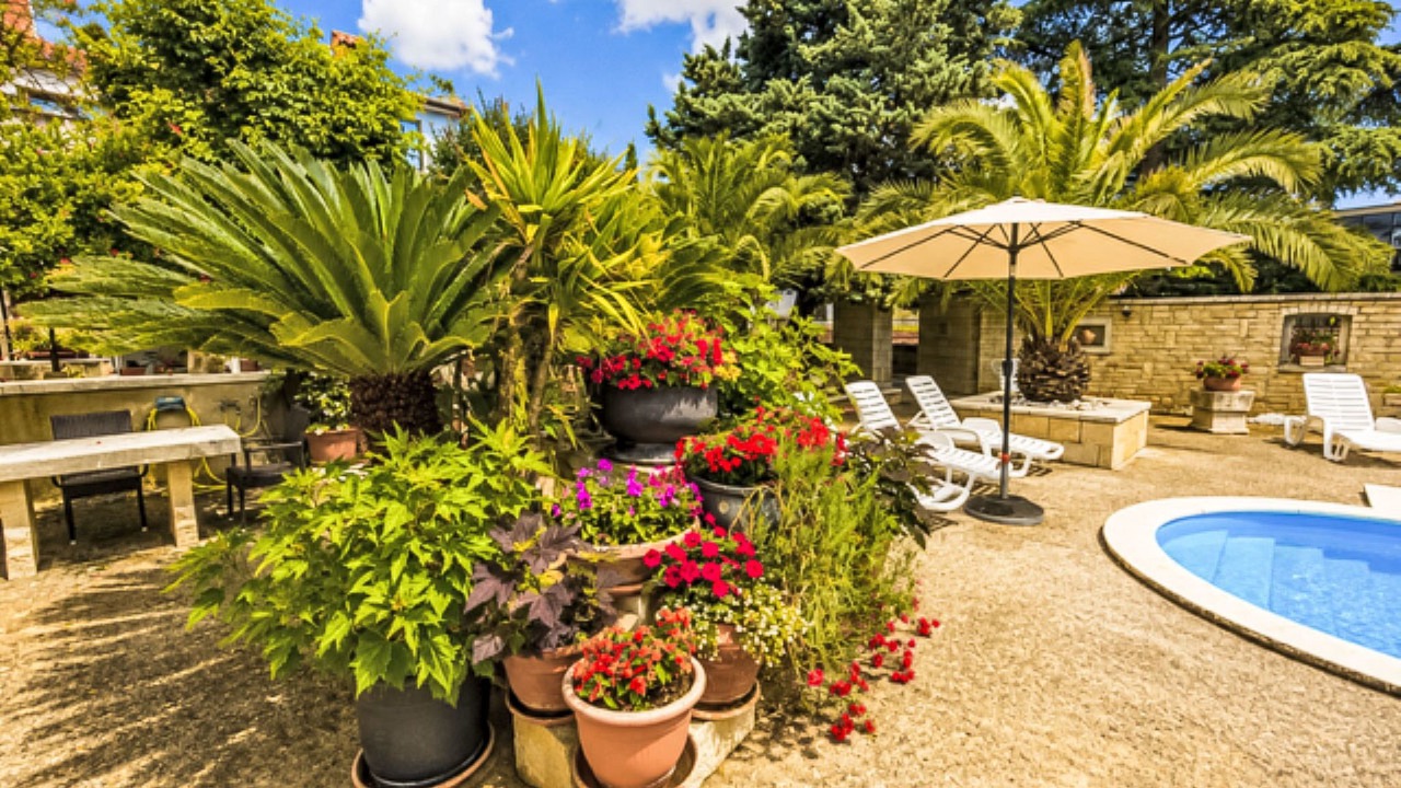 Photo of Outdoor in Buici