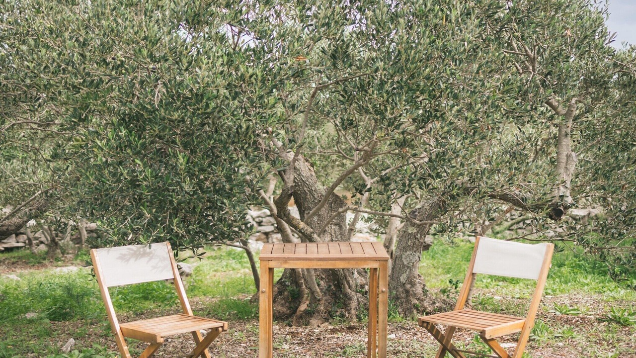 Photo of Outdoor in Donje Selo