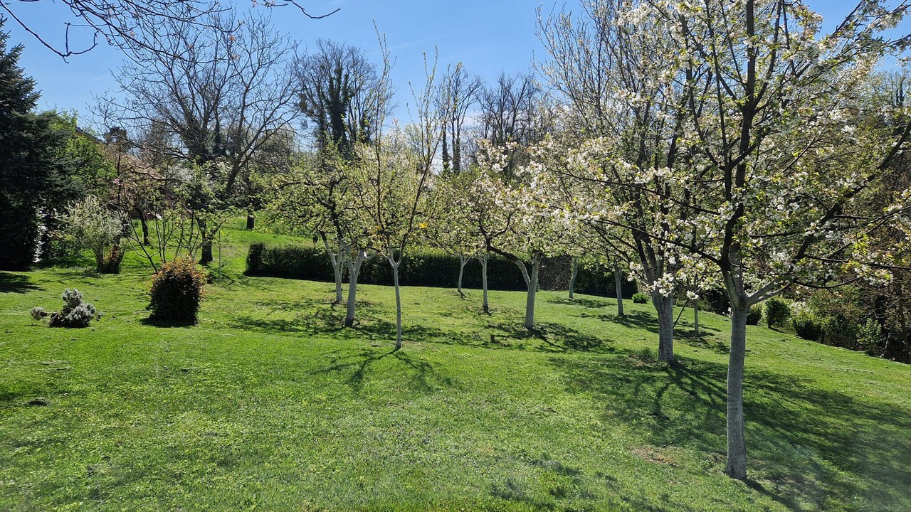 Photo of Others in Stefanje