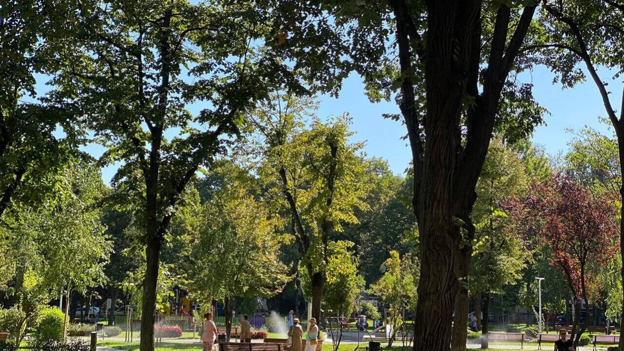 Photo of Others in Sector 2