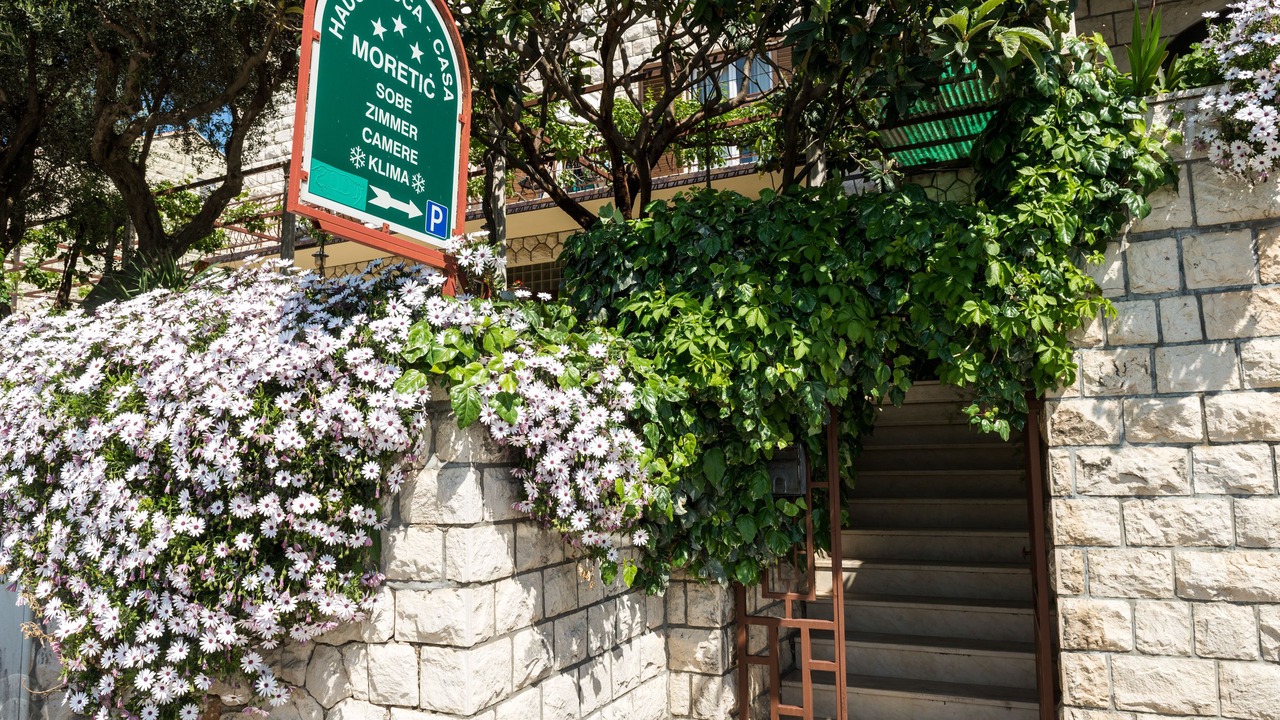 Photo of Outdoor in Orasac