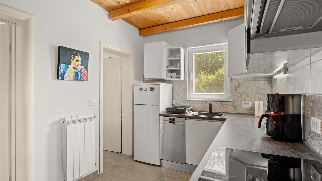 Photo of Kitchen in Nova Vas