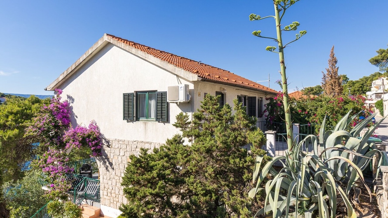 Photo of Outdoor in Island Hvar