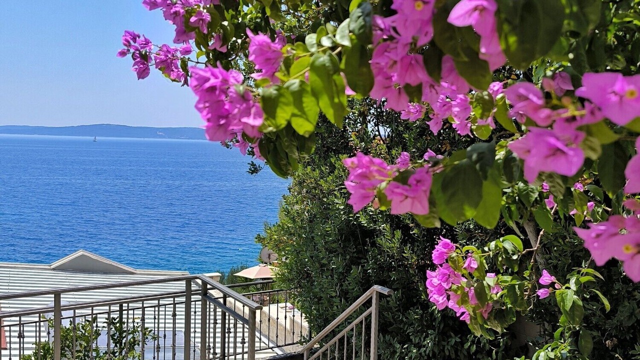 Photo of Outdoor in Businci