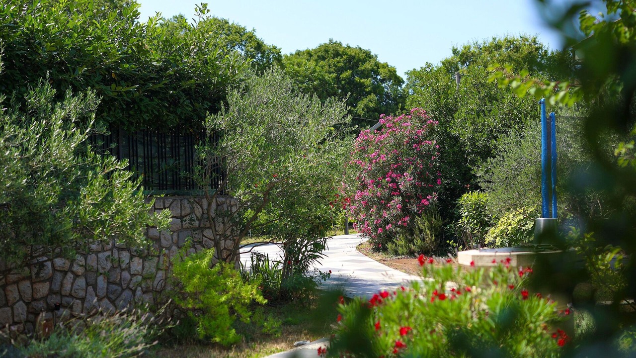 Photo of Outdoor in Zurkovo