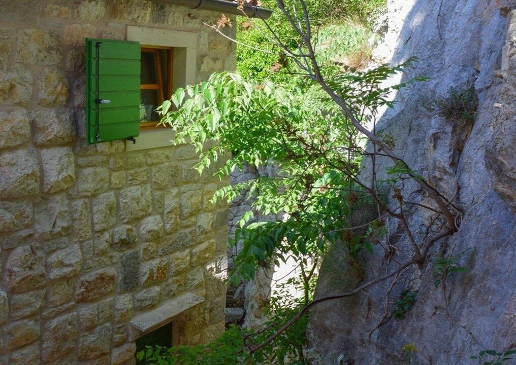 Photo of Outdoor in Borak