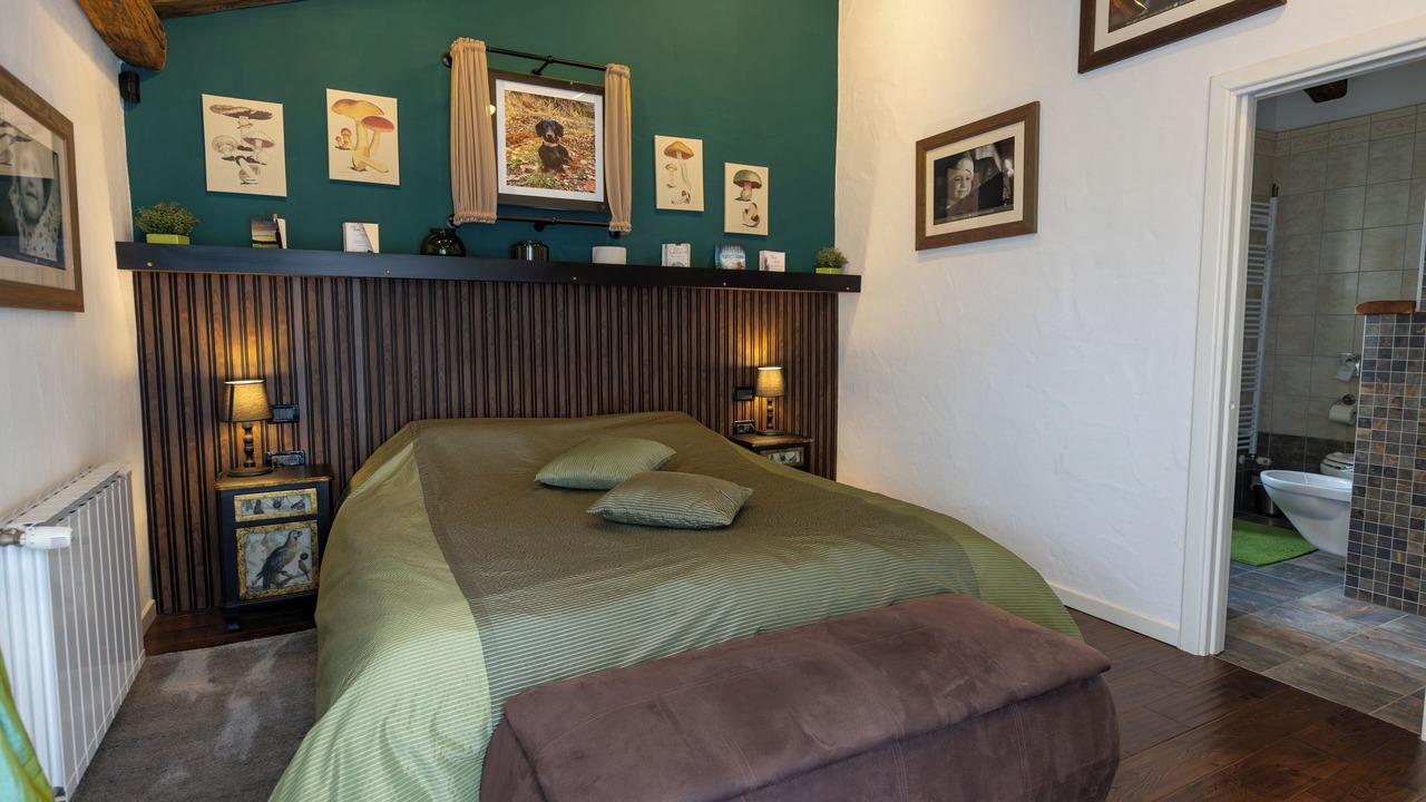 Photo of Bedroom in Baderna