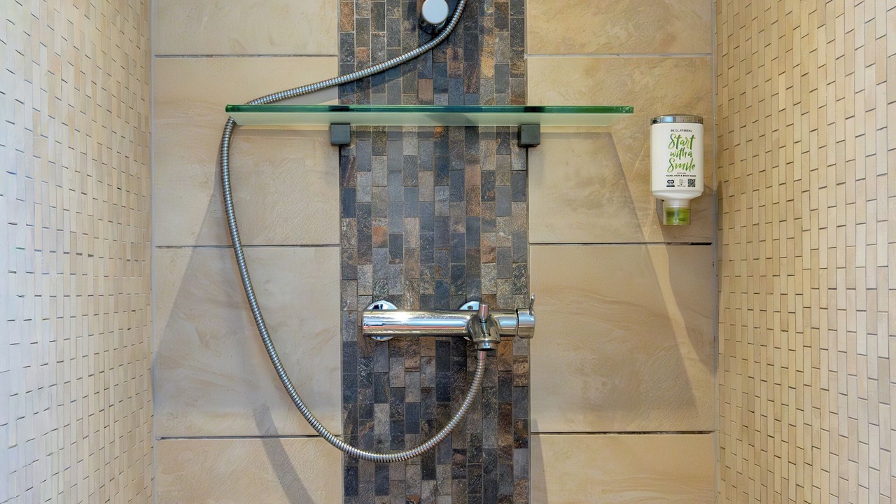 Photo of Bathroom in Baderna